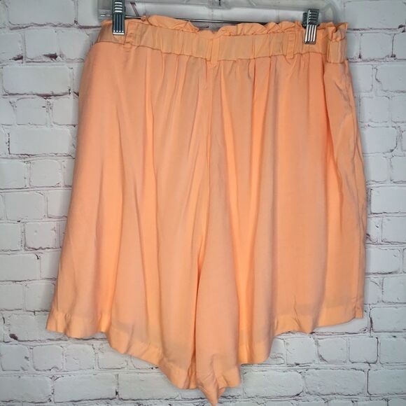 TORRID PULL ON SHORTS WOMEN'S SIZE 1 (1X). PEACH CHILLS LINED - Picture 4 of 11
